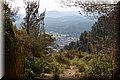 P3262700.JPG