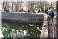 P3292738.JPG