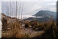 P4023002.JPG