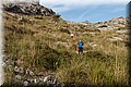 P4023010.JPG