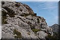 P4023110.JPG
