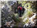 P4080061.JPG