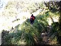 P4080080.JPG