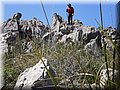 P4170060 (Large).JPG