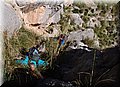 P4173439.JPG