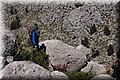 P4173534.JPG