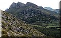 P4233700.JPG