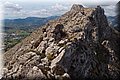 P4233790.JPG