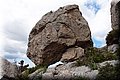 P4233799.JPG