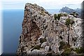 P4233826.JPG