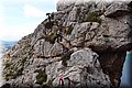 P4233840.JPG