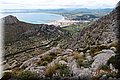 P4233846.JPG