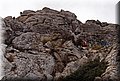 P4233853.JPG