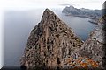 P4233884.JPG