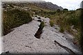 P4233901.JPG
