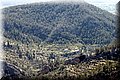 P4263941.JPG