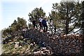 P4263942.JPG