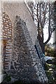 P4263947.JPG