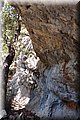 P4263961.JPG
