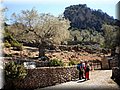 20120430_41 (Large).jpg