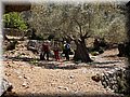 20120430_57 (Large).jpg
