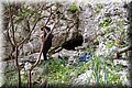 P4304102.JPG