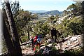 P4304128.JPG