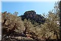 P4304180.JPG