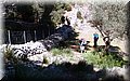 P4304183.JPG