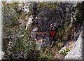 P4304201.JPG