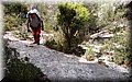P4304228.JPG