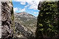P4304238.JPG