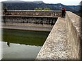 P5030004 (Large).JPG