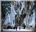 20120507_46 (Large).jpg