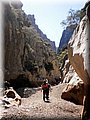 20120507_60 (Large).jpg