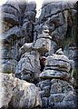 20120507_63 (Large).jpg