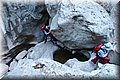 P5074507.JPG