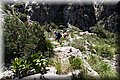 P5074535.JPG