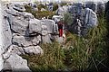 P5074567.JPG