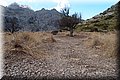 P5074585.JPG
