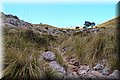P5074603.JPG