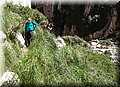 P5074654.JPG