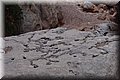 P5074660.JPG