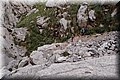 P5074662.JPG