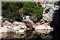 P5074707.JPG