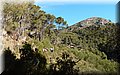 P5104737.JPG
