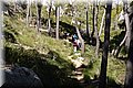P5104751.JPG