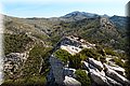 P5104767.JPG