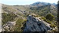 P5104773.JPG