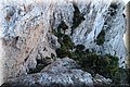 P5104805.JPG